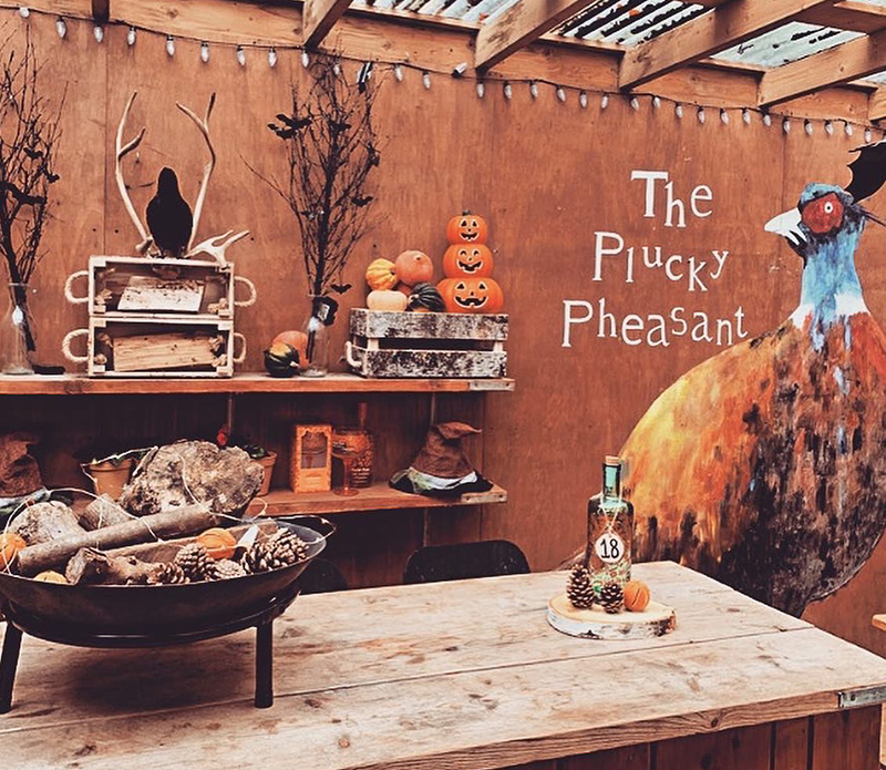 The Plucky Pheasant